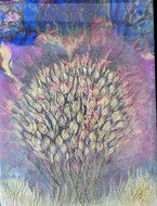 Tillandsia